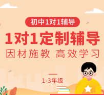 初中1对1辅导